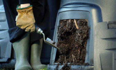 Homemade compost