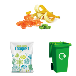 an image showing how food is recycled