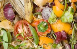 rotting vegetable waste