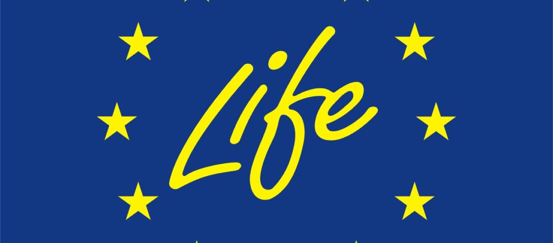 Life plus logo