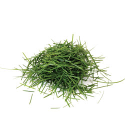 Grass cuttings