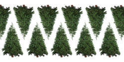 recycle christmas tree