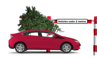 Christmas Tree Barrier
