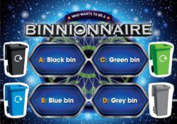 Preview of binnionaire game