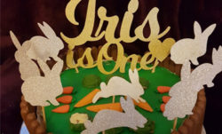rabbit themed birthday cake - Iris is one