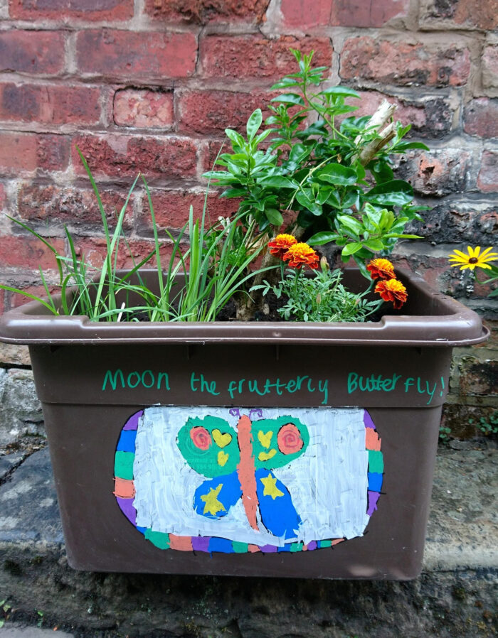 Brown recycling box decorated with a drawing of butterfly with plants growing out of the box