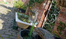 Upcycled barrel into a pond