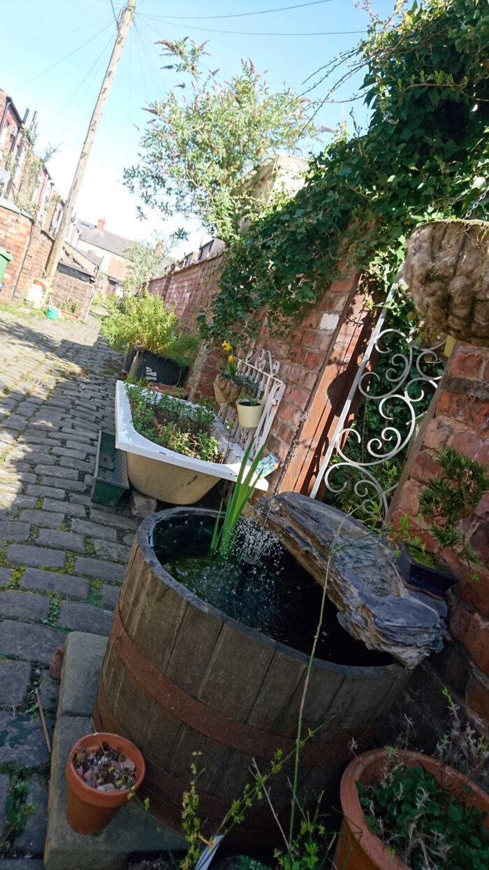 Upcycled barrel into a pond