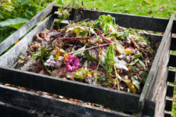 Mix of food and garden waste in a wooden crate
