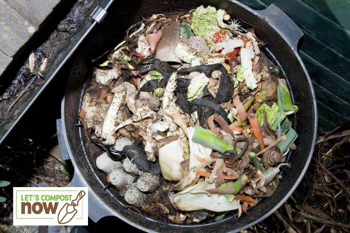 Mix of food and garden waste in a compost bin
