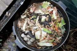 Mix of food and garden waste in a compost bin