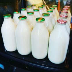 Group of glass milk bottles