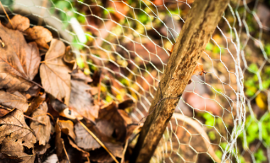 Leaves in a frame made out of chicken wire