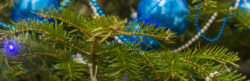 Christmas tree with blue baubles
