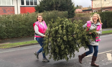 Two women carrying a Christmas tree over the road
