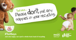 Teddy bear with text bubble that reads please don't put nappies in your recycling and two babies in nappies.