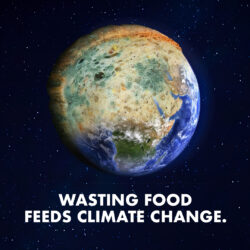 Image of planet earth, with half of it made up of mouldy bread. Text underneath reads 'Wasting food feeds climate change'