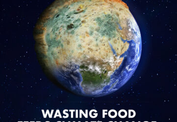 Image of planet earth, with half of it made up of mouldy bread. Text underneath reads 'Wasting food feeds climate change'