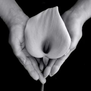 portfolio3