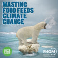 A growling polar bear stuck on a piece of cauliflower because all the ice has melted around it. Heading reads Wasting food feeds climate change