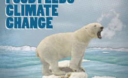 Wasting Food Feeds Climate Change