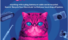 pink cat surrounded by small electrical objects with heading 'It's International E- Waste day, 'never bin them, recycle your electricals'.