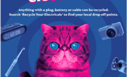 Recycle your electricals