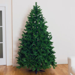Image of undecorated Christmas tree