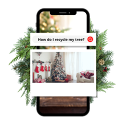 Image of a mobile phone with search bar with words 'how do I recycle my tree.' with image of Christmas tree below. Behind the phone Christmas reef.