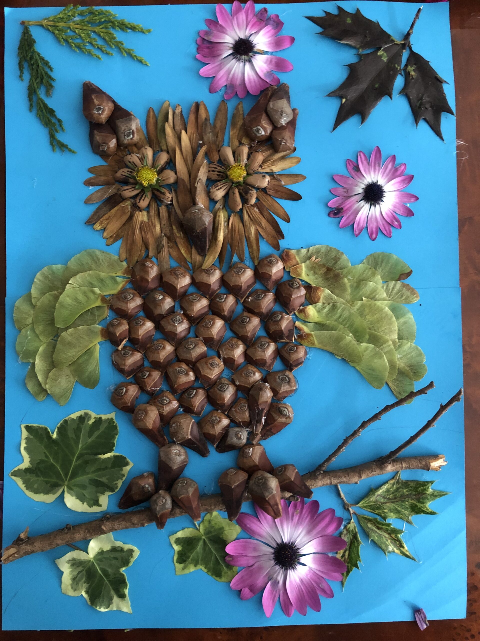 Picture of an owl made from nature materials