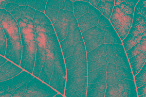 Leaf bg 2