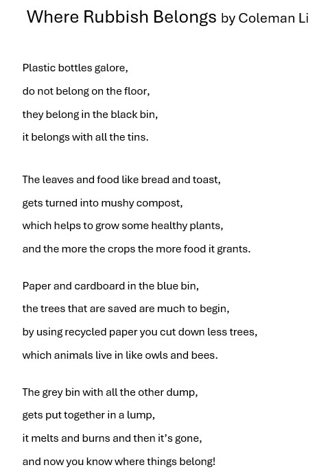 Poem about where rubbish belongs