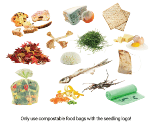 A selection of items that go into the food & garden waste bin: leftover food, mouldy food, leftover bones, egg shells, grass cuttings, leaves, compostable bags, twigs, tea bags. Only use compostable food bags with the seedling logo.