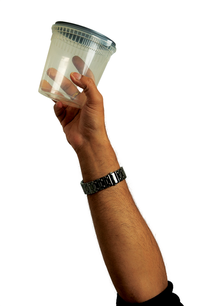 hand 2