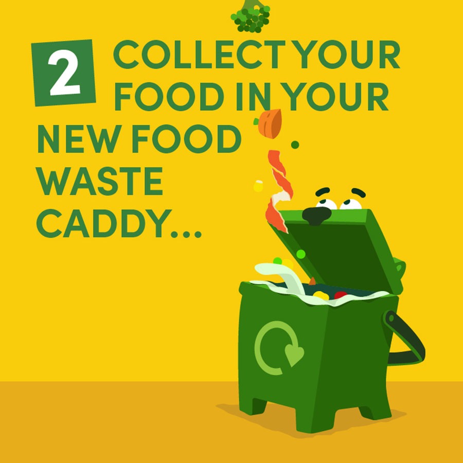 Recycle your food waste 7 Website Infographic 800x800px 03